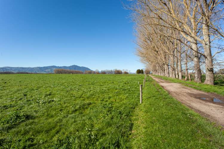 382 Tautiti Road Te Aroha_11