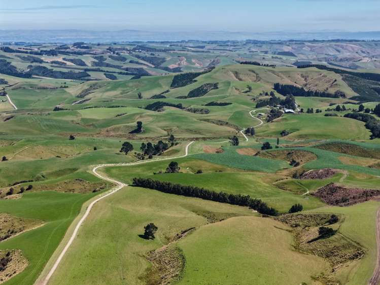 759 Waitahuna Gully Road Lawrence_21