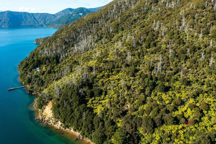 Lot 2 North West Bay Pelorus Sound_8