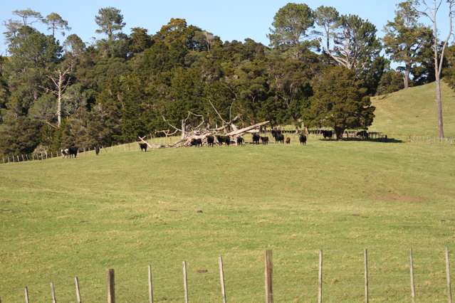 140 Kenana Road Mangonui Surrounds_3