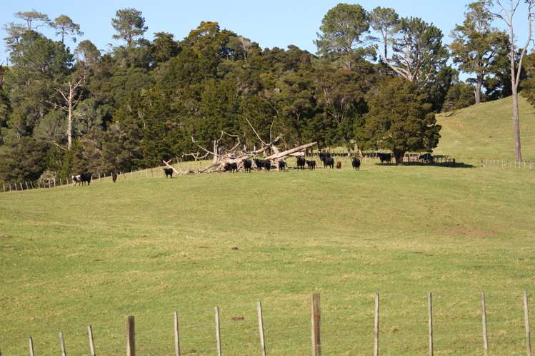 140 Kenana Road Mangonui Surrounds_3