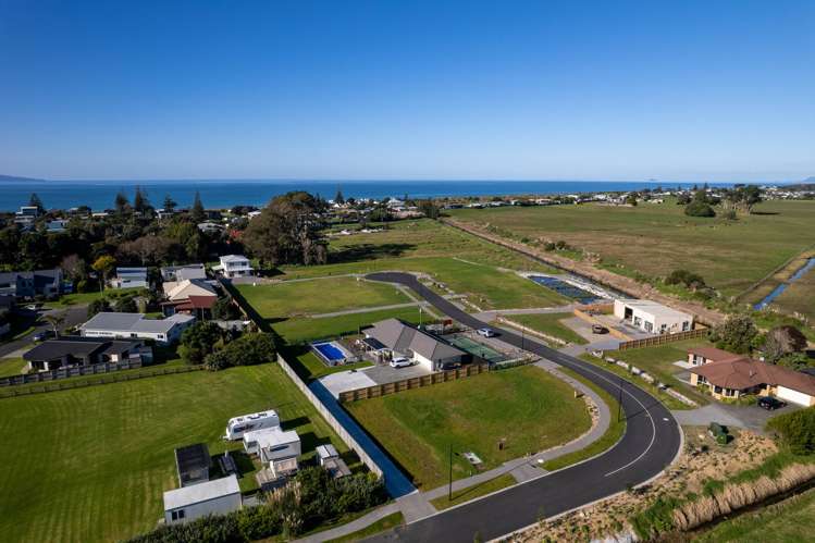 Citrus Avenue Waihi Beach_3