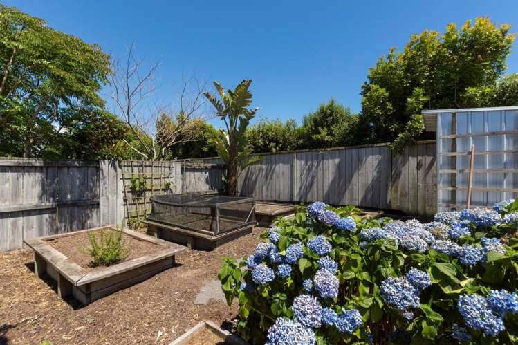 43 Palazzo Drive Papamoa_17