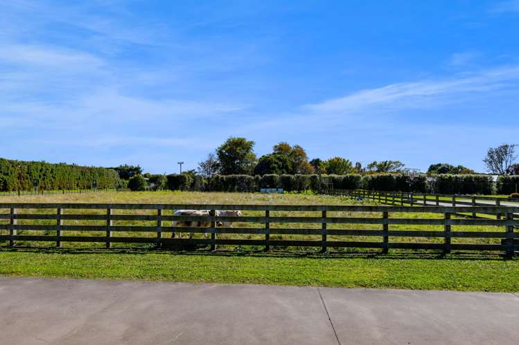 123 Princess Street Waitara_28