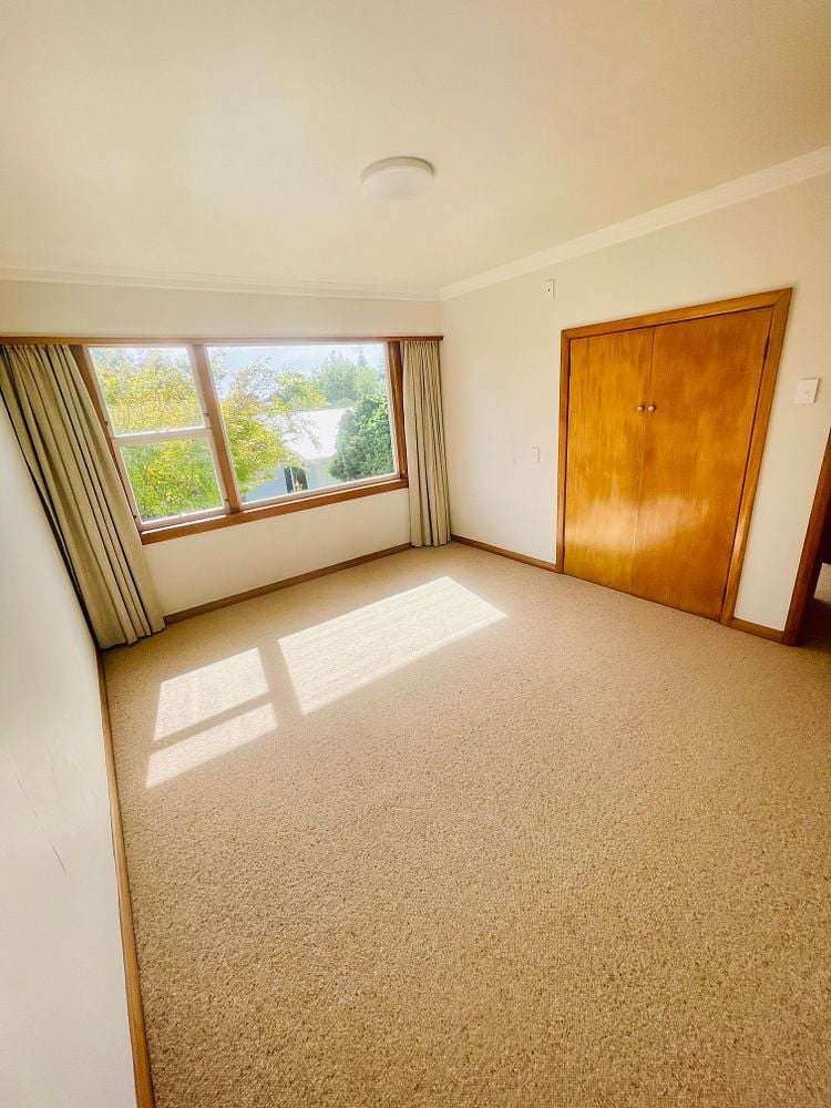 88 Carrington Street Lower Vogeltown_14