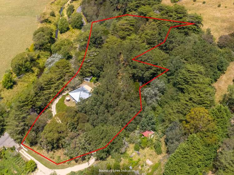 293A Manawa Road Tinui_36
