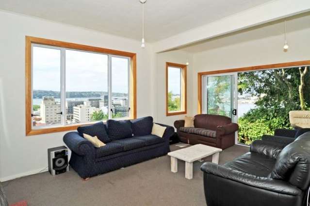 9 Elm Row Dunedin Central_1