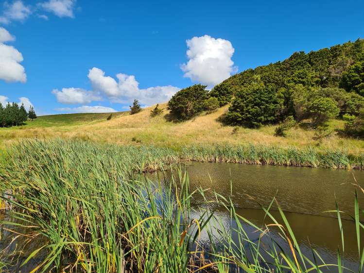 304 Arapaoa Road Tinopai_19