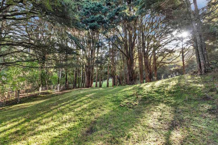 181 Great North Road Kamo_20