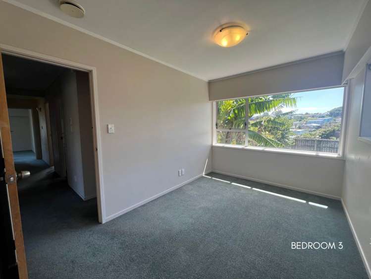 43 John Davis Road Mt Roskill_11