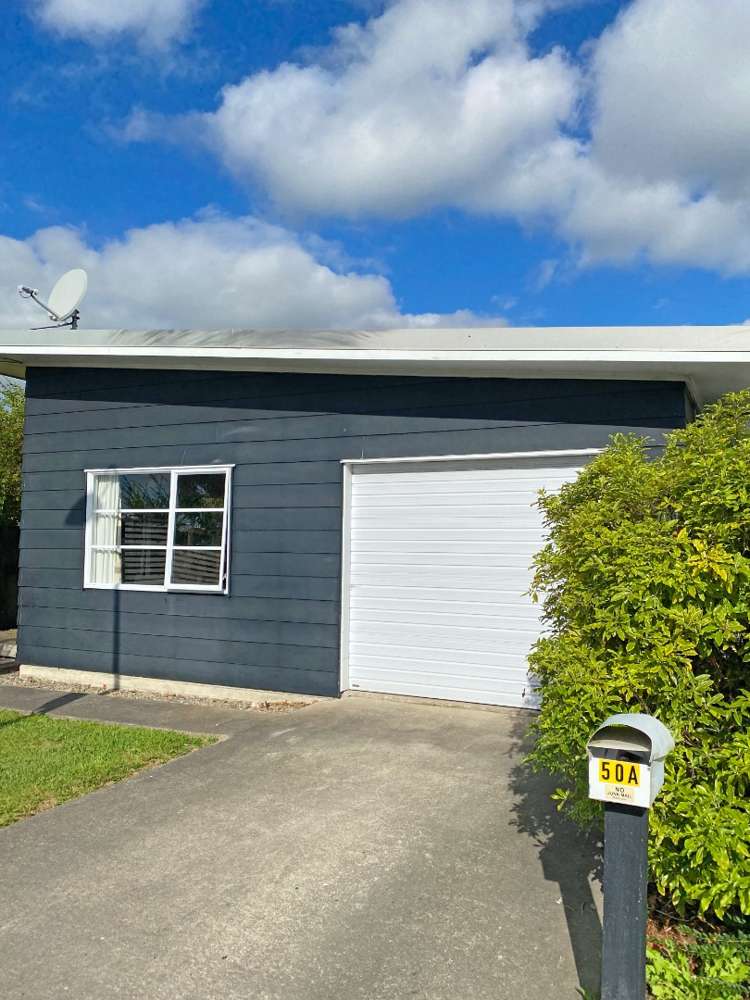 50a Rata Street Roslyn_0