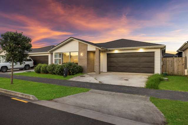 Modern Family Living with Park Views in Takanini