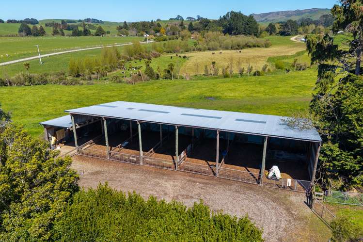 100 Inglis Road Pahiatua_15