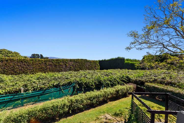 494 Paerata Ridge Road Opotiki and Surrounds_20