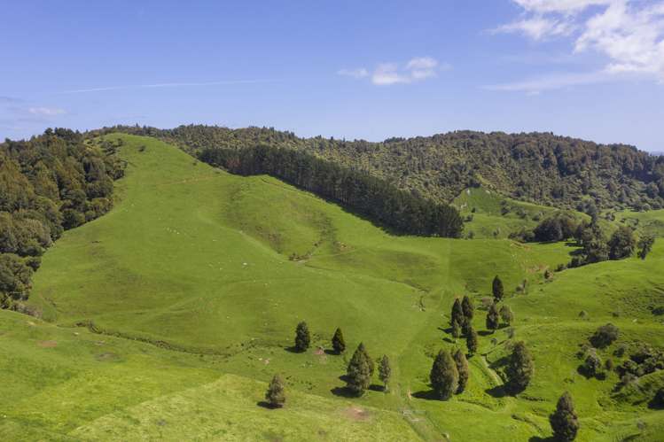 2140 State Highway 4 Aria_13