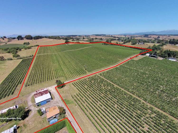 166 Kina Beach Road Tasman_11