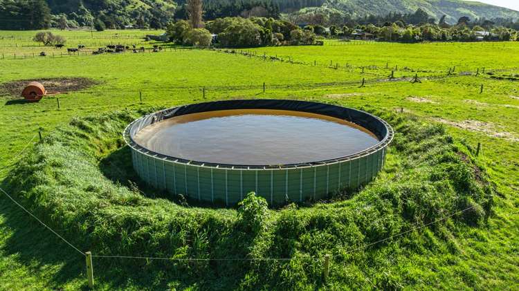 1234 Okains Bay Road Okains Bay_36