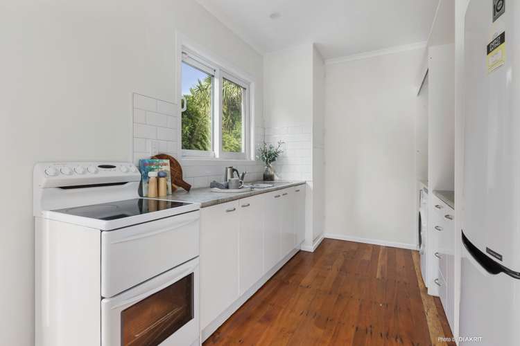 16 Sim Street Johnsonville_7