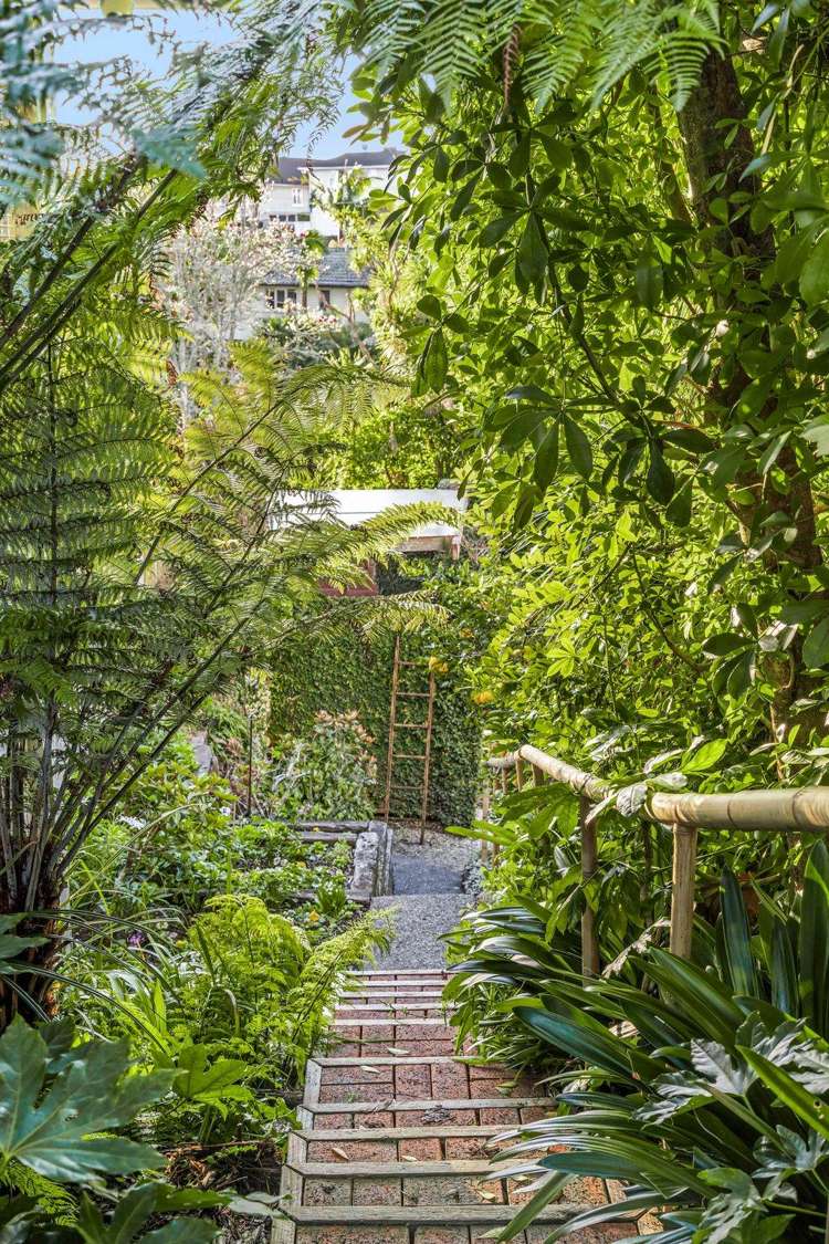 45 Sayegh Street St Heliers_36