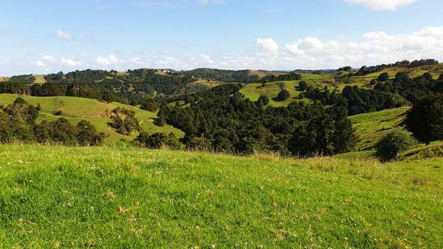 Lot 2/347 Porter Road Paparoa_1