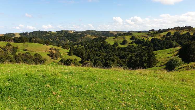 Lot 2/347 Porter Road Paparoa_1