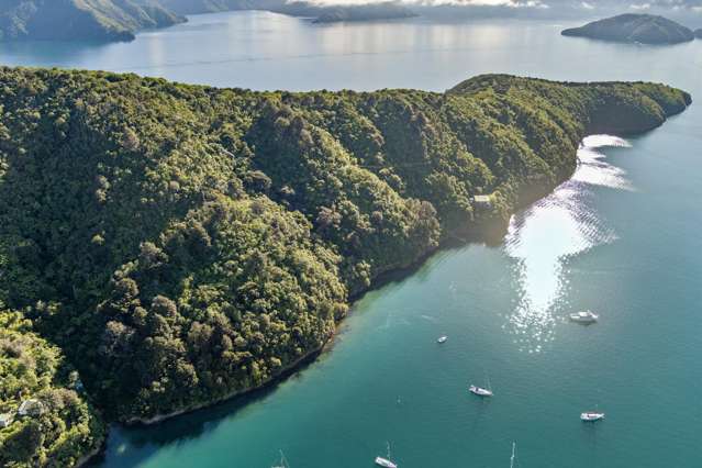 The Snout Waikawa Bay Picton_3