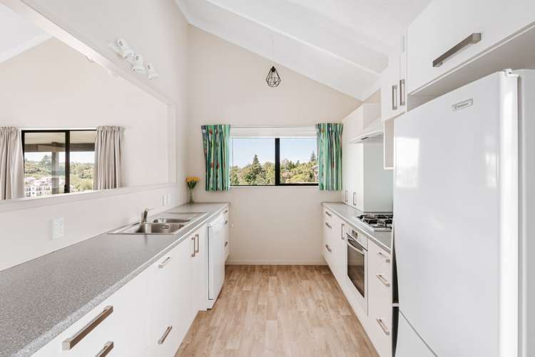 327 Waihi Road Judea_11