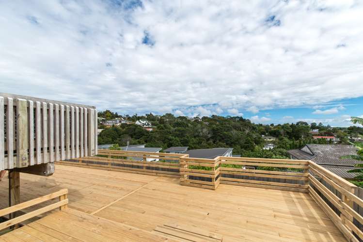 49 Leo Street Glen Eden_17