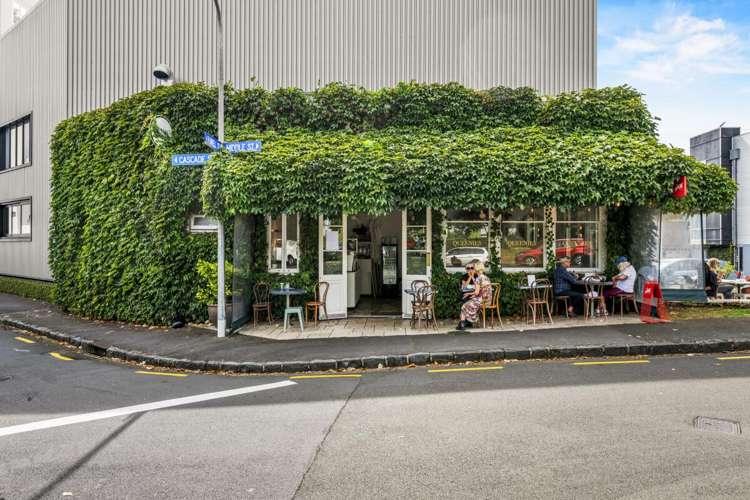 24 Spring Street Freemans Bay_5