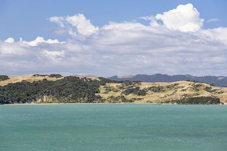 14b Greenslade Road Raglan_55