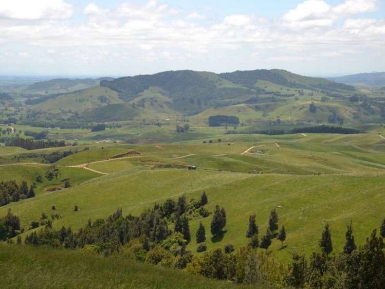 184 Grice Road Wharepuhunga_15