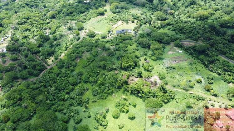Address withheld Taveuni_10
