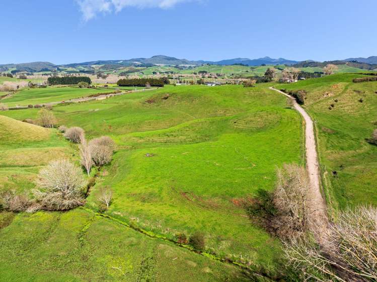 - Samson Road Waihi_6