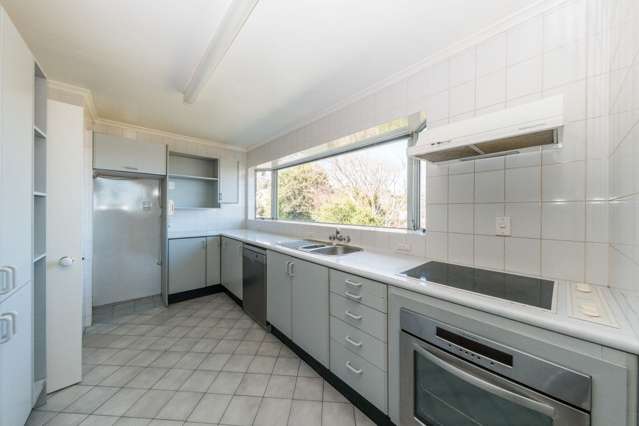 46 Lewisham Street Highland Park_3