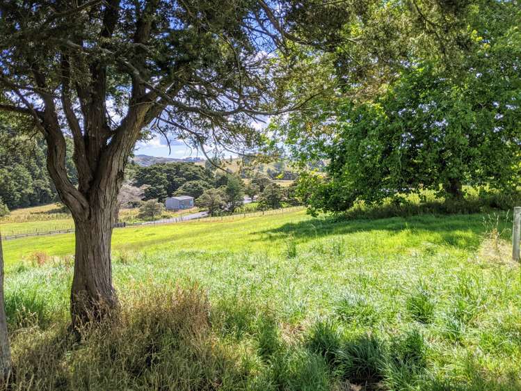 634 West Coast Road Makarau_5