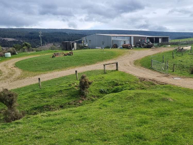 1384 Tahakopa Valley Road Catlins Surrounds_5