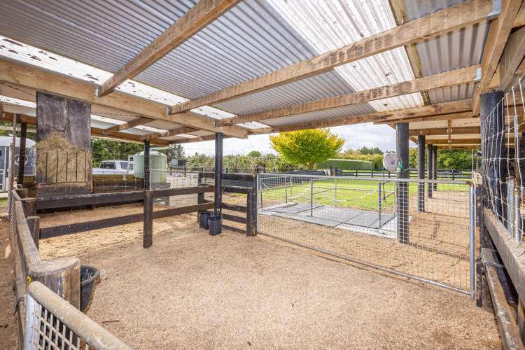 35 Taplin Road Matangi_28