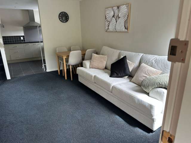 18 Lower Watt Street Wadestown_1