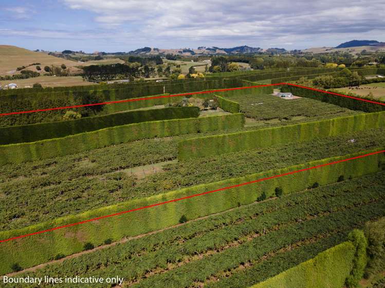 25a Fisher Road Waihi_17