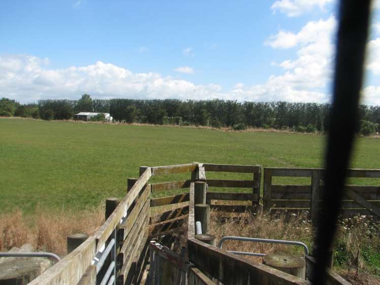 46/4655 State Highway 26 Te Aroha_15