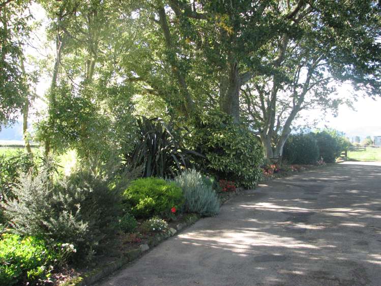 118 Costall Road Wardville_21