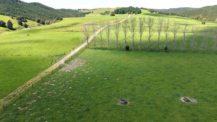 337 Mill Road Kawakawa_21