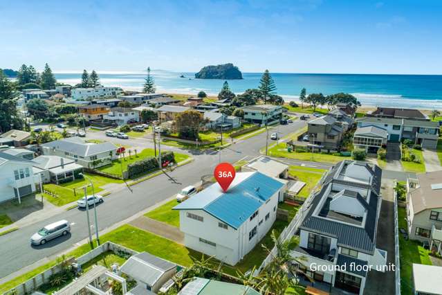 36a Grove Avenue Mount Maunganui_2