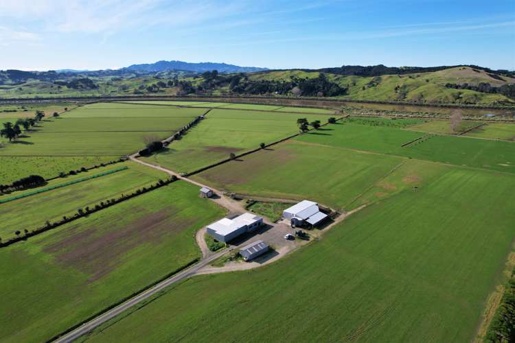 142 Awakino Point North Road Dargaville Surrounds_9