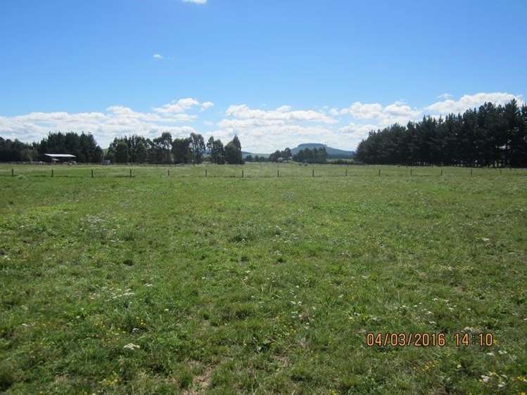 339 White Road Broadlands_7