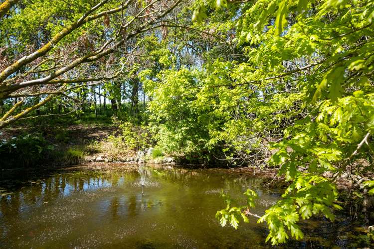 121 Enfield Drive Pakipaki_17