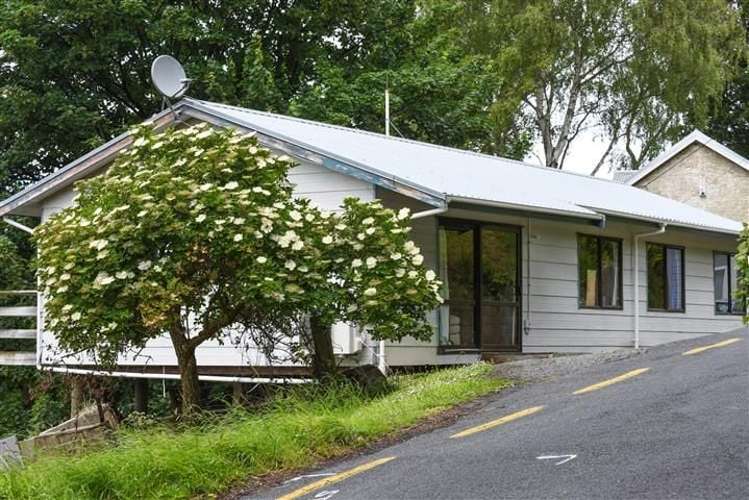 53 Buccleugh Street North East Valley_21