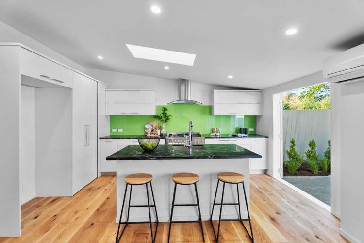 33 Alexander Street Kingsland_4