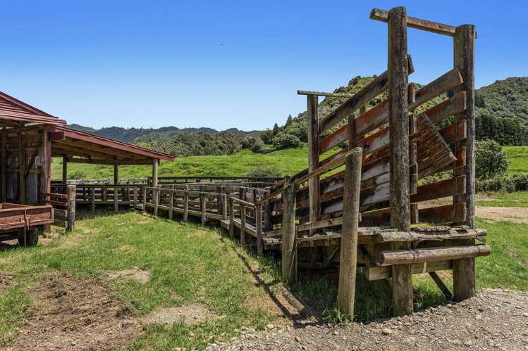 2060 Motu Road Opotiki_5