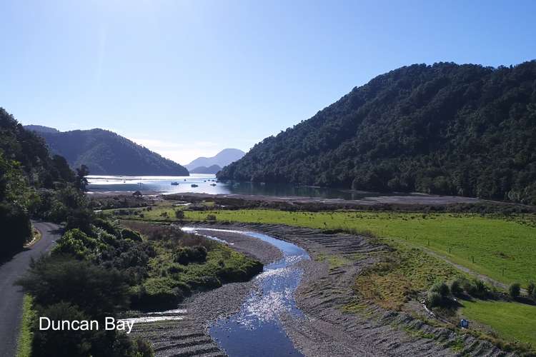 25 Nikau Street Duncan Bay_23